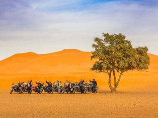 Grupo de motoristas en el desierto