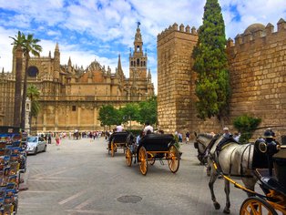 Horse carriages in front of the cathedral in Seville