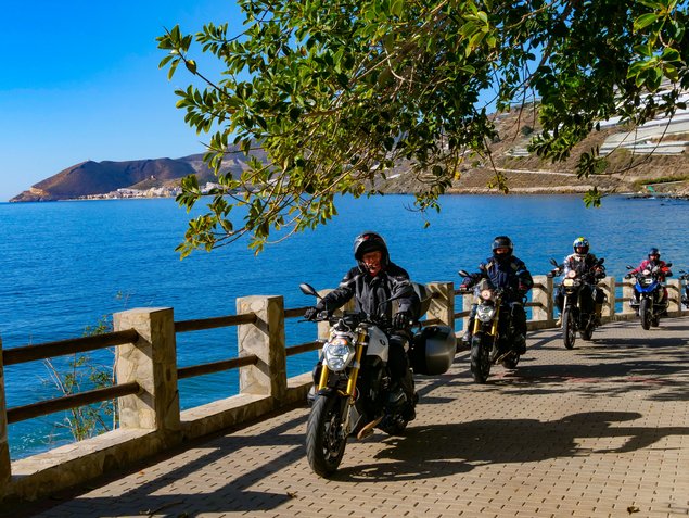 [Translate to English:] Tourguide mit Gruppe am Meer