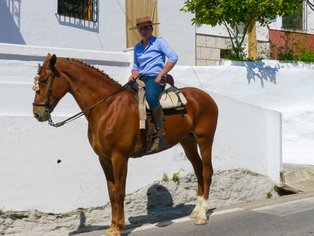 Andalusischer Junge auf spanischem Pferd